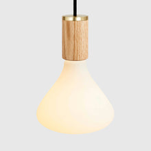 Load image into Gallery viewer, Noma Pendant Light in Detail.