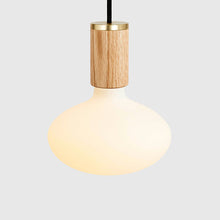 Load image into Gallery viewer, Oval Pendant Light in Detail.