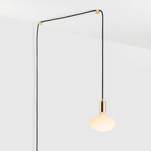 Load image into Gallery viewer, Oval Plug-In Pendant Light in Detail.