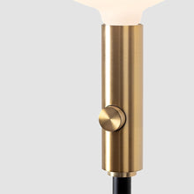 Load image into Gallery viewer, Poise Sphere V LED Adjustable Floor Lamp in Detail.