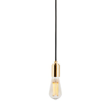Load image into Gallery viewer, Squirrel Cage Plug-In Pendant Light.
