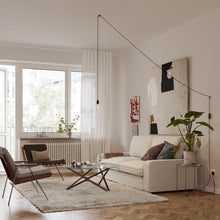 Load image into Gallery viewer, Squirrel Cage Plug-In Pendant Light in Detail.
