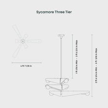 Load image into Gallery viewer, Sycamore Chandelier - line drawing.