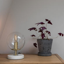 Load image into Gallery viewer, Totem I Candelabra Base T8 Type LED Bulb in living room.