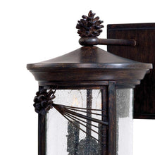 Load image into Gallery viewer, Abbey Lane Outdoor Wall Light in Detail.