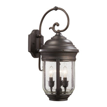 Load image into Gallery viewer, Amherst Outdoor Wall Light in (22.5-Inch).