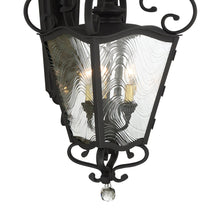 Load image into Gallery viewer, Brixton Ivey Outdoor Wall Light in Detail.