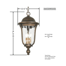 Load image into Gallery viewer, Havenwood Outdoor Pendant Light - Line Drawing.