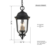 Load image into Gallery viewer, Peale Street Outdoor Pendant Light - Line Drawing.