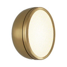 Load image into Gallery viewer, Molly LED Ceiling / Wall Light in Brushed Brass/Brushed Brass (14.96-Inch).
