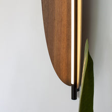 Load image into Gallery viewer, Thula LED Wall Light in Detail.