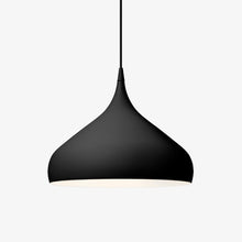 Load image into Gallery viewer, Spinning Pendant Light in Detail.