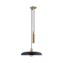 Load image into Gallery viewer, Plummet LED Pendant Light.