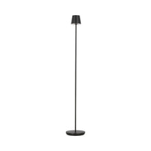Load image into Gallery viewer, Nevis LED Floor Lamp in Black.