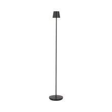 Load image into Gallery viewer, Nevis LED Floor Lamp.