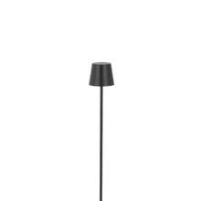 Load image into Gallery viewer, Nevis LED Floor Lamp in Detail.