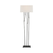 Load image into Gallery viewer, Aspen Floor Lamp in Blackended Rust.