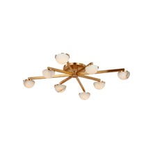 Load image into Gallery viewer, Pedra LED Flush Mount Ceiling Light.
