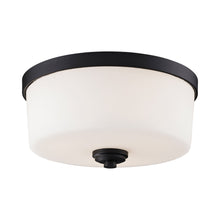 Load image into Gallery viewer, Arlington Flush Mount Ceiling Light in Bronze (Large).