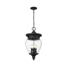Load image into Gallery viewer, Davina Outdoor Pendant Light in Detail.