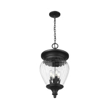 Load image into Gallery viewer, Davina Outdoor Pendant Light in Detail.
