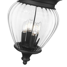 Load image into Gallery viewer, Davina Outdoor Pendant Light in Detail.