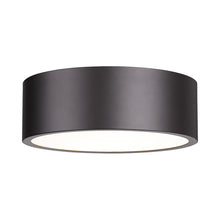 Load image into Gallery viewer, Harley Flush Mount Ceiling Light in Bronze (16-Inch).