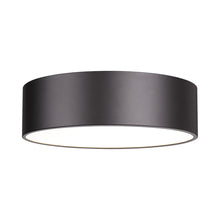 Load image into Gallery viewer, Harley Flush Mount Ceiling Light in Bronze (20-Inch).