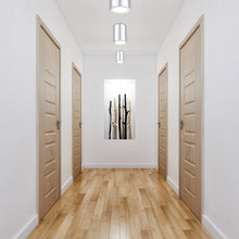 Load image into Gallery viewer, Harley Flush Mount Ceiling Light in living room.