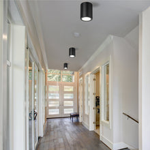 Load image into Gallery viewer, Harley Flush Mount Ceiling Light in living room.