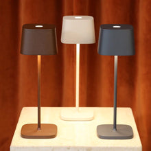 Load image into Gallery viewer, Ofelia LED Table Lamp in Detail.