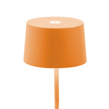 Load image into Gallery viewer, Olivia Mini LED Table Lamp in Detail.
