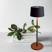 Load image into Gallery viewer, Olivia Pro LED Table Lamp in Detail.