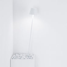 Load image into Gallery viewer, Poldina Peg LED Inground Light in Detail.