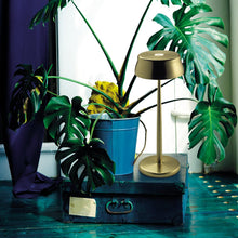 Load image into Gallery viewer, Sister LED Portable Table Lamp in living room.