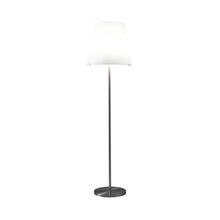 Load image into Gallery viewer, 3247 Floor Lamp in Medium.