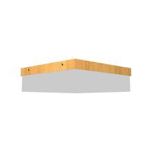 Load image into Gallery viewer, Clean Slim LED Flush Mount Ceiling Light in Louro Freijo (Medium).