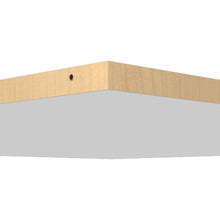 Load image into Gallery viewer, Clean Slim LED Flush Mount Ceiling Light in Detail.