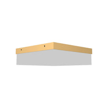 Load image into Gallery viewer, Clean Slim LED Flush Mount Ceiling Light in Gold (Small).