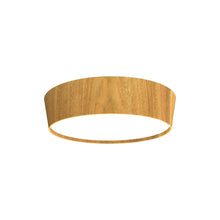 Load image into Gallery viewer, Conical LED Flared Flush Mount Ceiling Light in Louro Freijó (21.65-Inch).