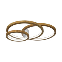 Load image into Gallery viewer, Frame LED Ceiling / Wall Light in Louro Freijó (Large).