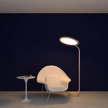 Load image into Gallery viewer, Naiá LED Floor Lamp in living room.