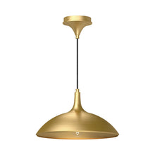 Load image into Gallery viewer, Abel Pendant Light.