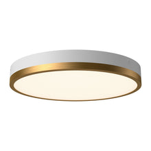 Load image into Gallery viewer, Adelaide LED Flush Mount Ceiling Light in Aged Gold/White (Large).