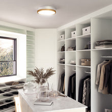 Load image into Gallery viewer, Brisbane Flush Mount Ceiling Light in dress room.
