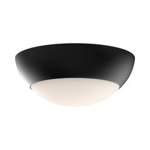 Load image into Gallery viewer, Rubio 2-Light Flush Mount Ceiling Light in Matte Black.