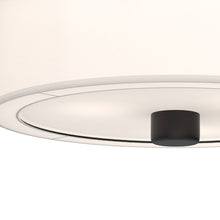 Load image into Gallery viewer, Theo Flush Mount Ceiling Light in Detail.