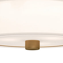 Load image into Gallery viewer, Theo Flush Pendant Light in Detail.