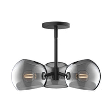 Load image into Gallery viewer, Willow Pendant Light in Matte Black/Smoked Solid Glass.