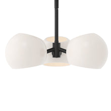 Load image into Gallery viewer, Willow Pendant Light in Detail.
